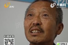 ���ƻ��С��������Ʊ����� ���Ӽ��澪ϲ��ӵ