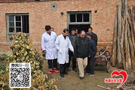 ���28�걻��10��ľ���������Ч���Ƴ�Ժ